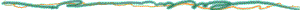 Barra2.gif (1262 bytes)